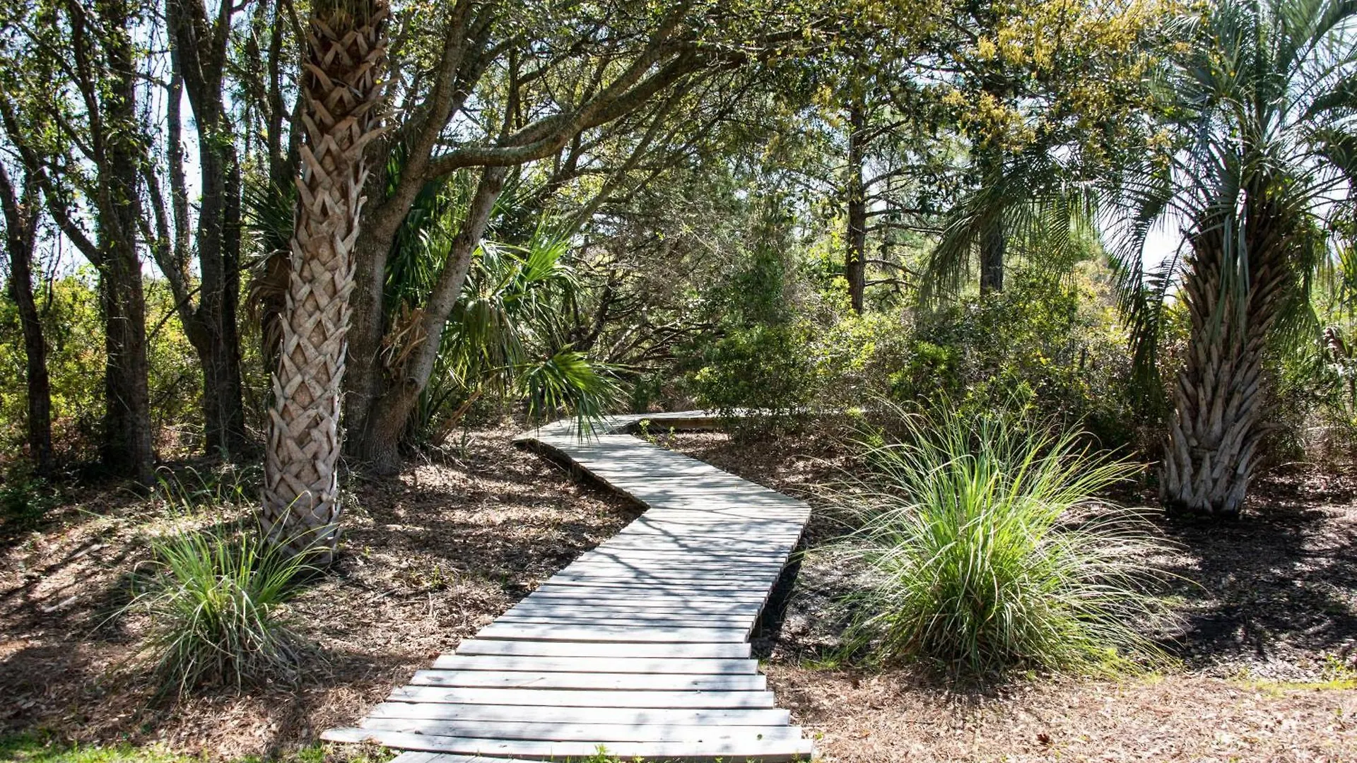 Holiday home 22 Sand Dollar Road | Koi Cottage Hilton Head Island United States