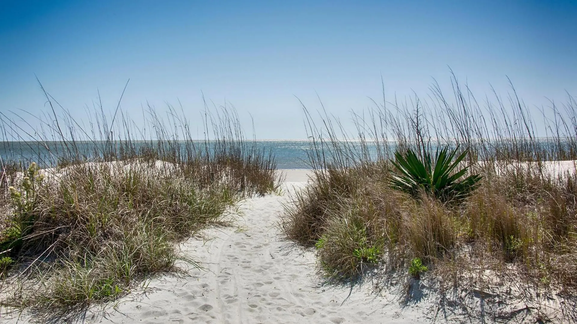 22 Sand Dollar Road | Koi Cottage Hilton Head Island 0*,